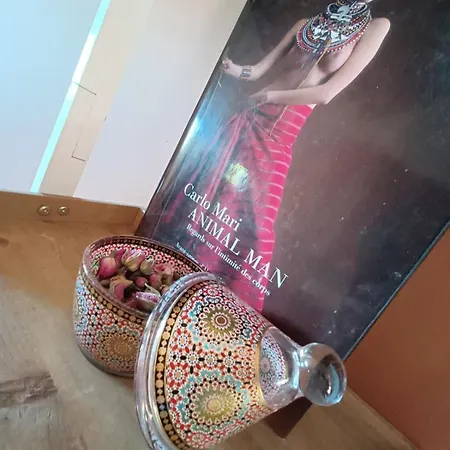 Aux 1001 Nuits Marrakech's Touch Apartamento Chapelle-lez-Herlaimont